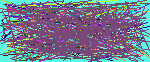 search people